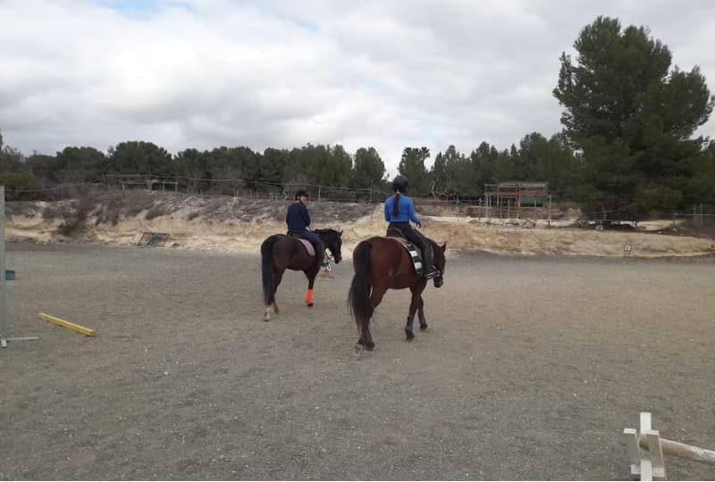 Hípica y Equitación – Campoamor