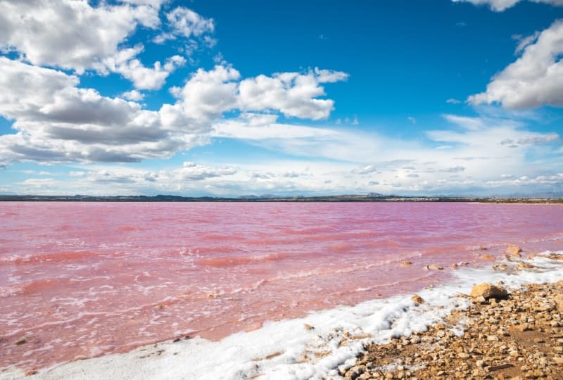 Laguna Rosa – Las Salinas de Torrevieja