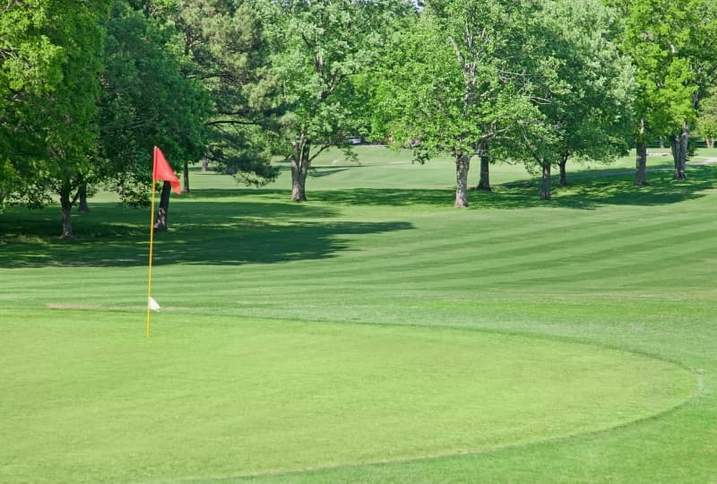Terrains de Golf